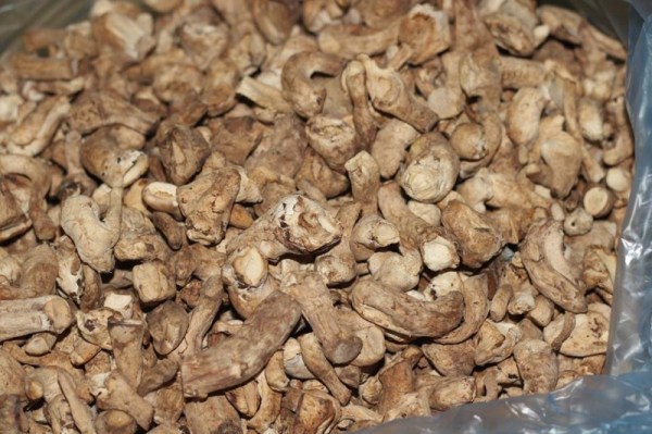 Dried shiitake mushroom stems