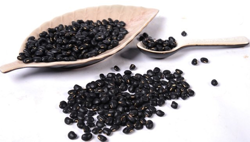 Small green kernel black beans