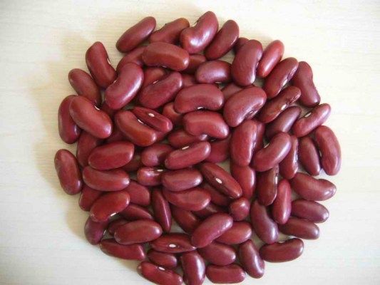 Large red beans