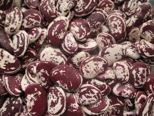 Royal beans