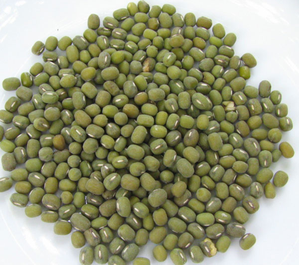 Local green beans