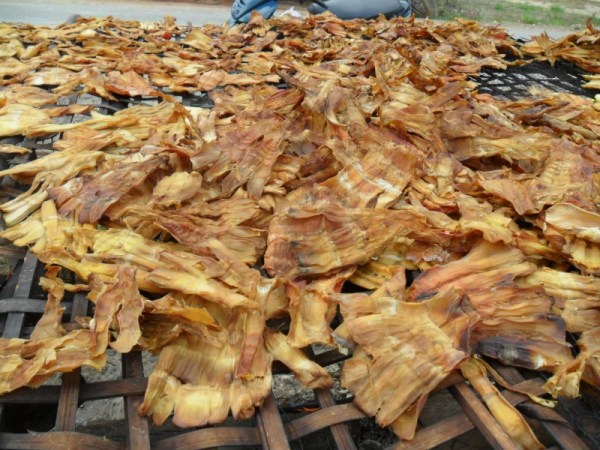 Dried bamboo shoots