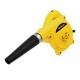 Stanley Dust Blower