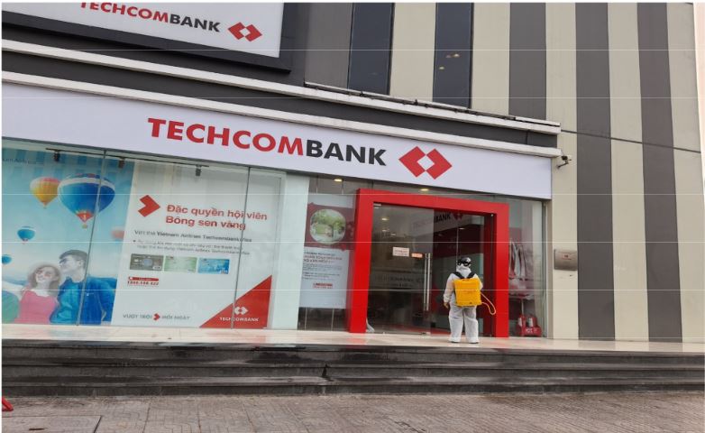 Termite extermination service in Techcombank
