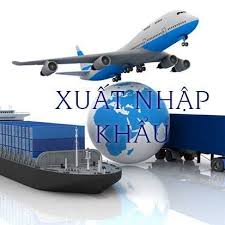 Consultancy on Import-Export procedures