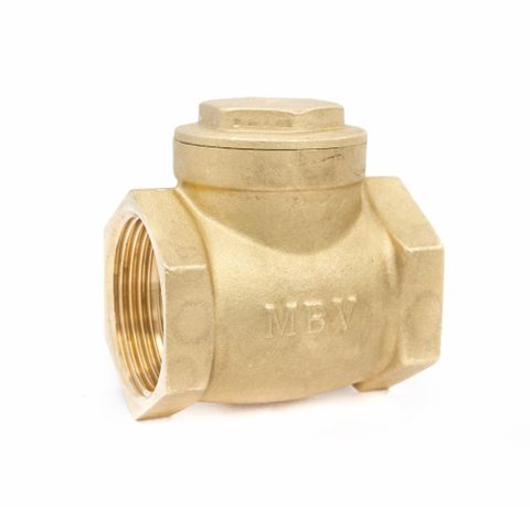 Check valve