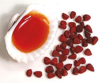 Cashew oil