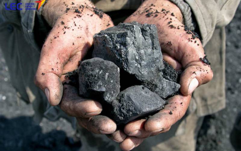 Indonesia Charcoal