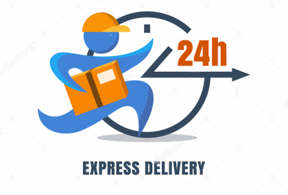 Express delivery services