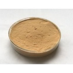 Enzyme powder