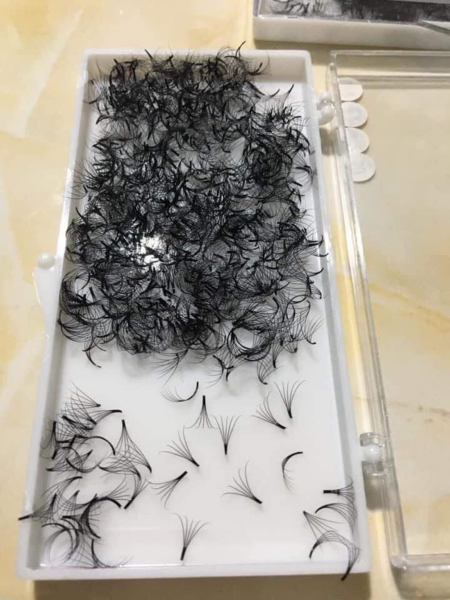 False eyelashes