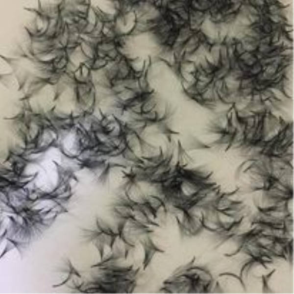 False eyelashes