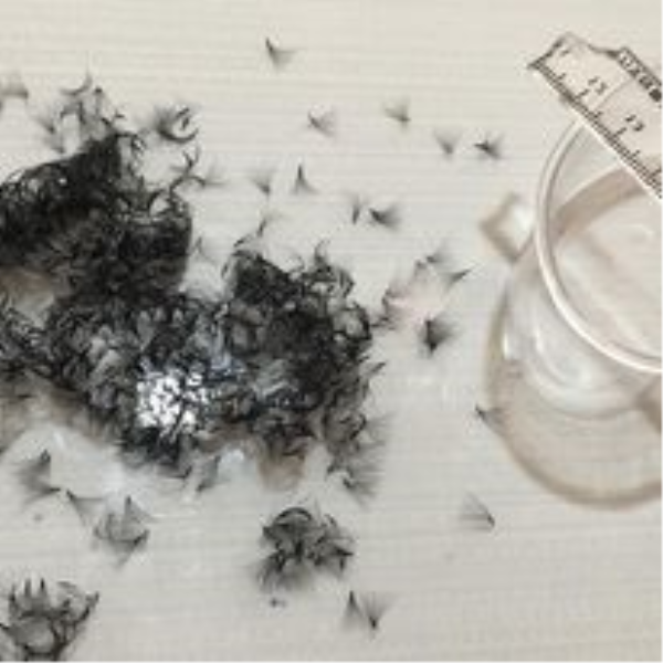 False eyelashes