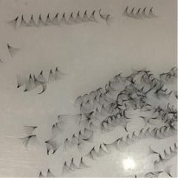 False eyelashes
