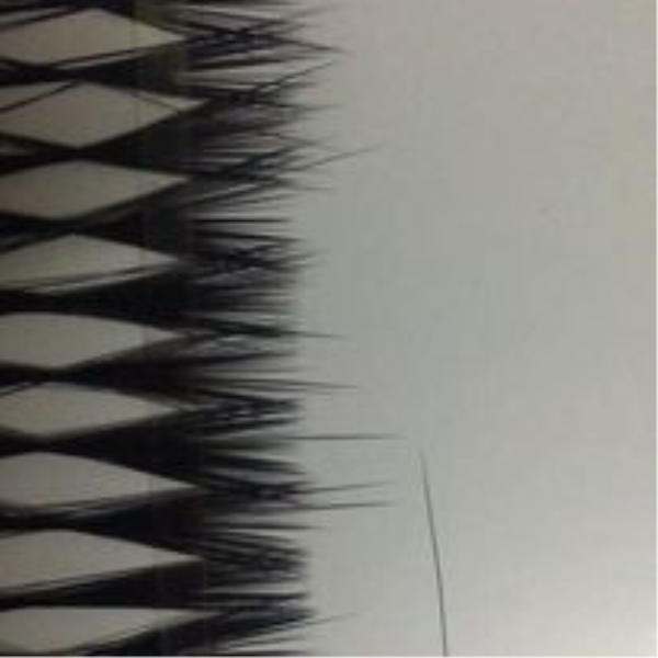 False eyelashes