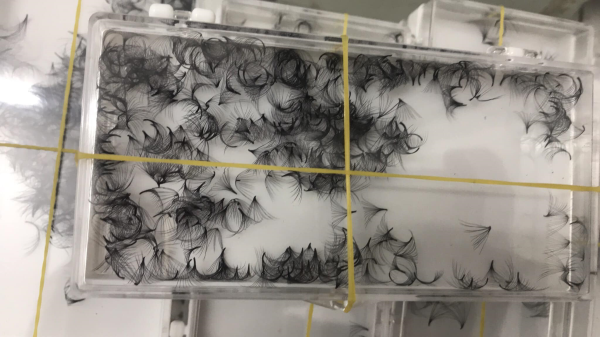 False eyelashes