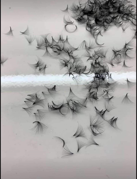 False eyelashes