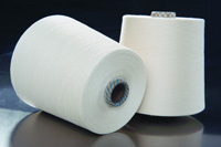 Polyester yarn