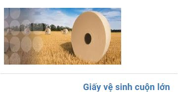Specialized cleaning paper & towel