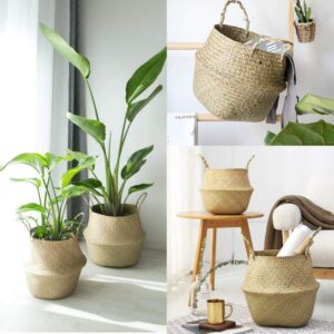 Sedge planter, sedge basket