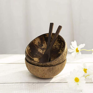 Export coconut bowl (coconut shell)