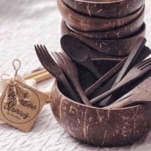 Coconut shell bowl