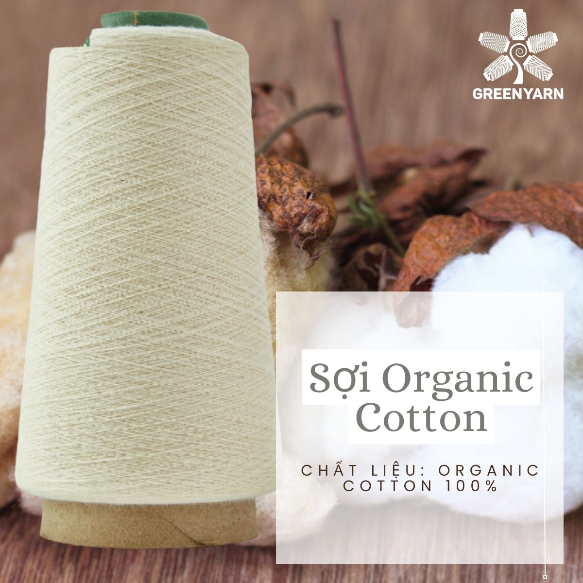 Organic Cotton Yarn