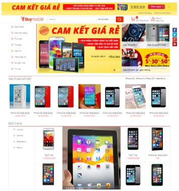 Web design and development