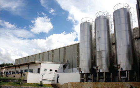 TH TRUE MILK Factory