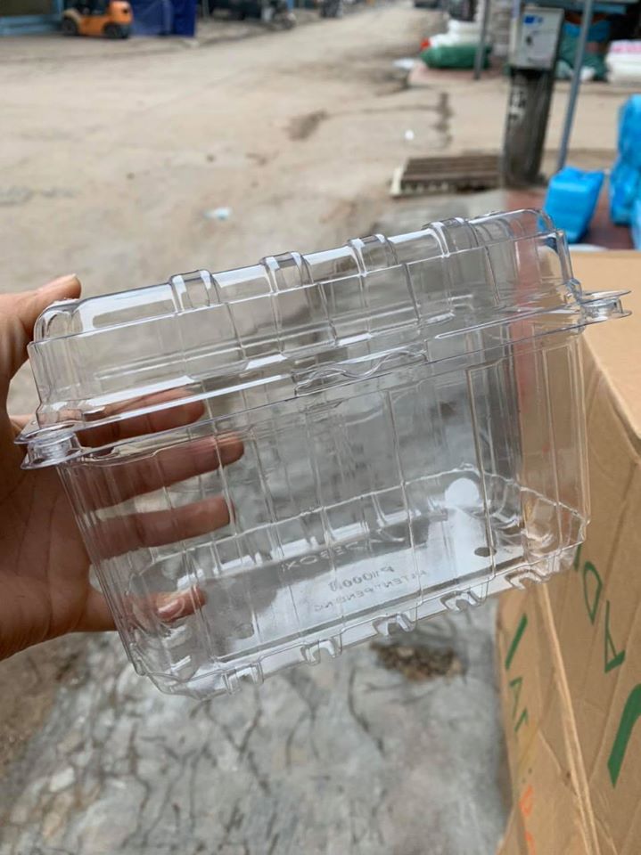 Shaped plastic tray