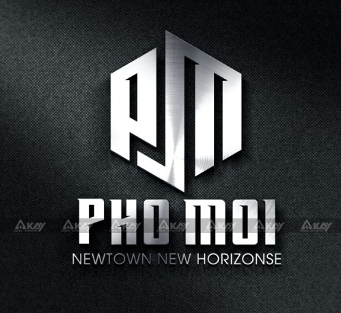 Pho Moi