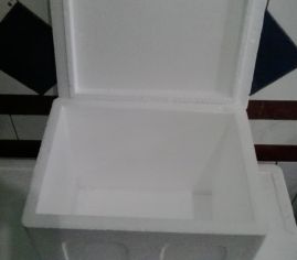 Styrofoam box