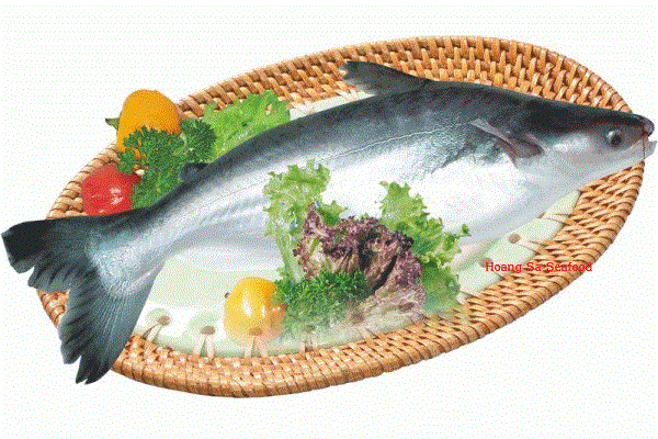 Basa fish