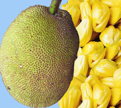 Frozen Jackfruit