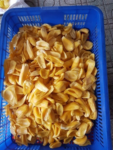 Frozen Jackfruit