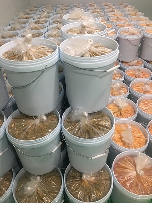 19KG Passion fruit juice