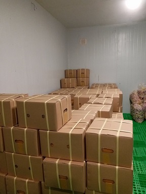 Carton of Passion fruit juice