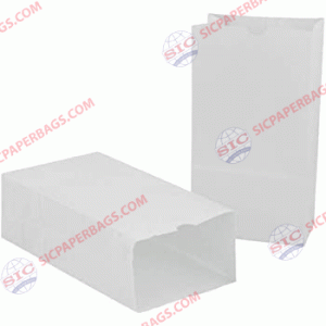 V1 White Kraft Bag Without Handle