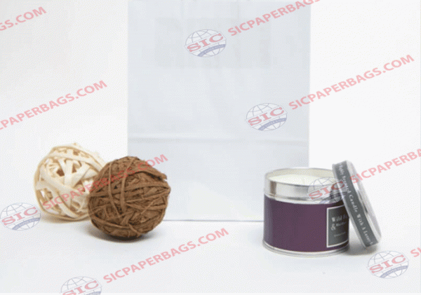 V4 White Kraft Bag Without Handle