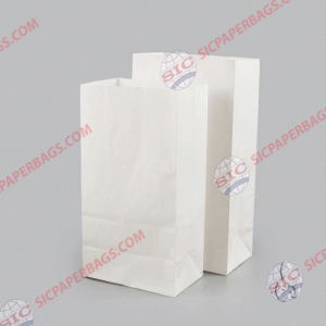 V2 White Kraft Bag Without Handle