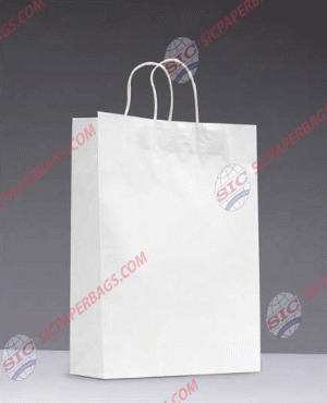 V4 White Kraft Bag With Handle