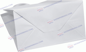 V5 White Kraft Bag With Handle