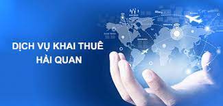 Declare Customs Procedures
