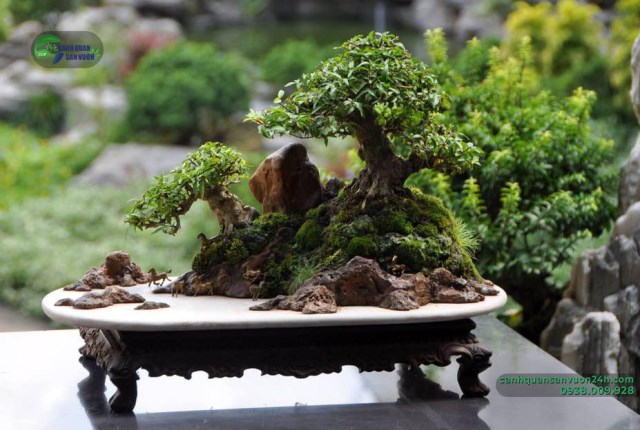 Rockeries designing service