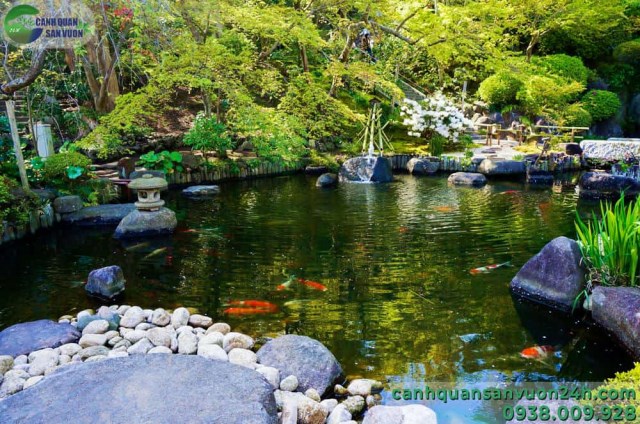 Koi fish bond designing and construction service