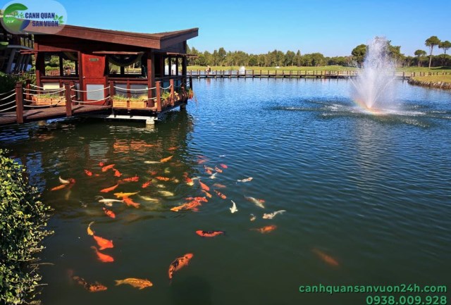 Koi fish bond designing and construction service
