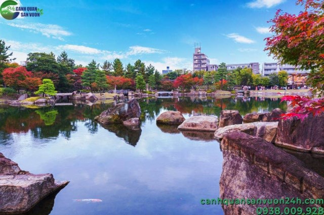 Koi fish bond designing and construction service