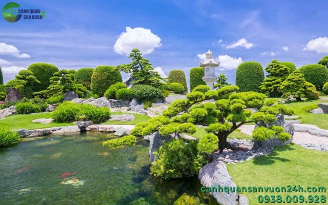 Koi fish bond designing and construction service