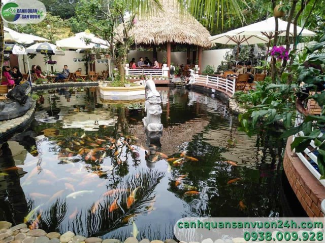 Koi fish bond designing and construction service