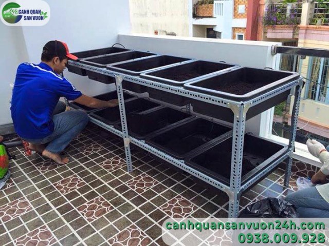 Clean vegetable garden designing service
